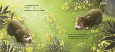 In the Quiet, Noisy Woods