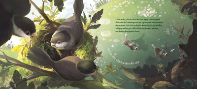 In the Quiet, Noisy Woods